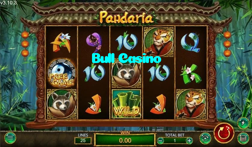 Bull Casino casino presented on mobile device in Pakistan with slots and live games